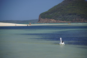 Port Stephens and Region