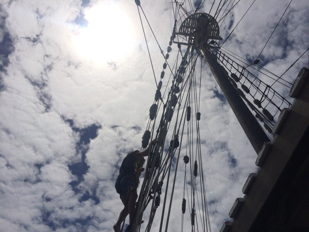 Mast Climb